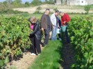 ChÃ¢teau Tour Castillon